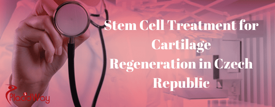 Stem Cell Treatment for Cartilage Regeneration, Czech Republic